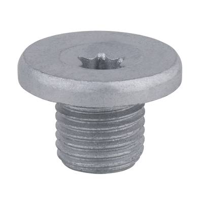 Close-up of a metal screw with a flat head and star-shaped drive, suitable for industrial applications or mechanical engineering.