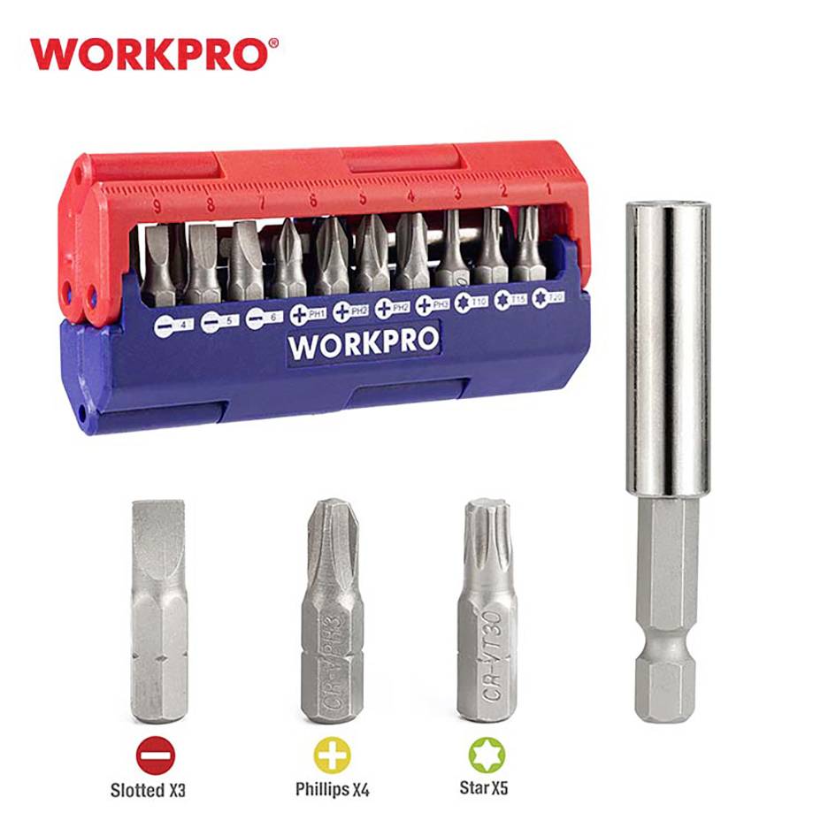 Tool set with bit holder and various bit types: Slotted, Phillips and Star. Red and blue case with 'WORKPRO' logo.