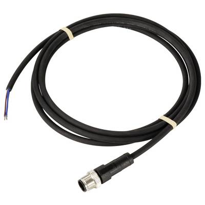 A black cable with a metal plug at one end and exposed wires at the other. It is tied in a loop.