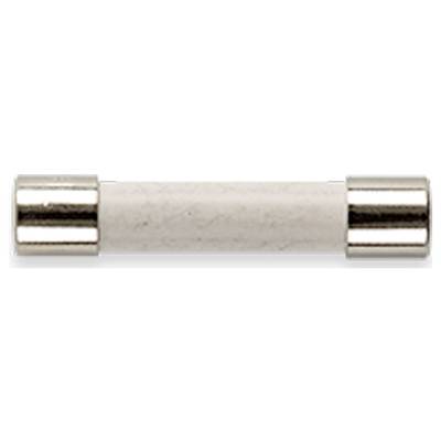 Fuse with a cylindrical shape, with metal caps at each end. Used to protect electrical devices from overcurrent.