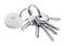 A keyring with five silver keys and a round, white chip tag on a white background.