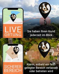PAJ GPS PET Finder 4G GSM tracker Pet tracker  1 pc(s)