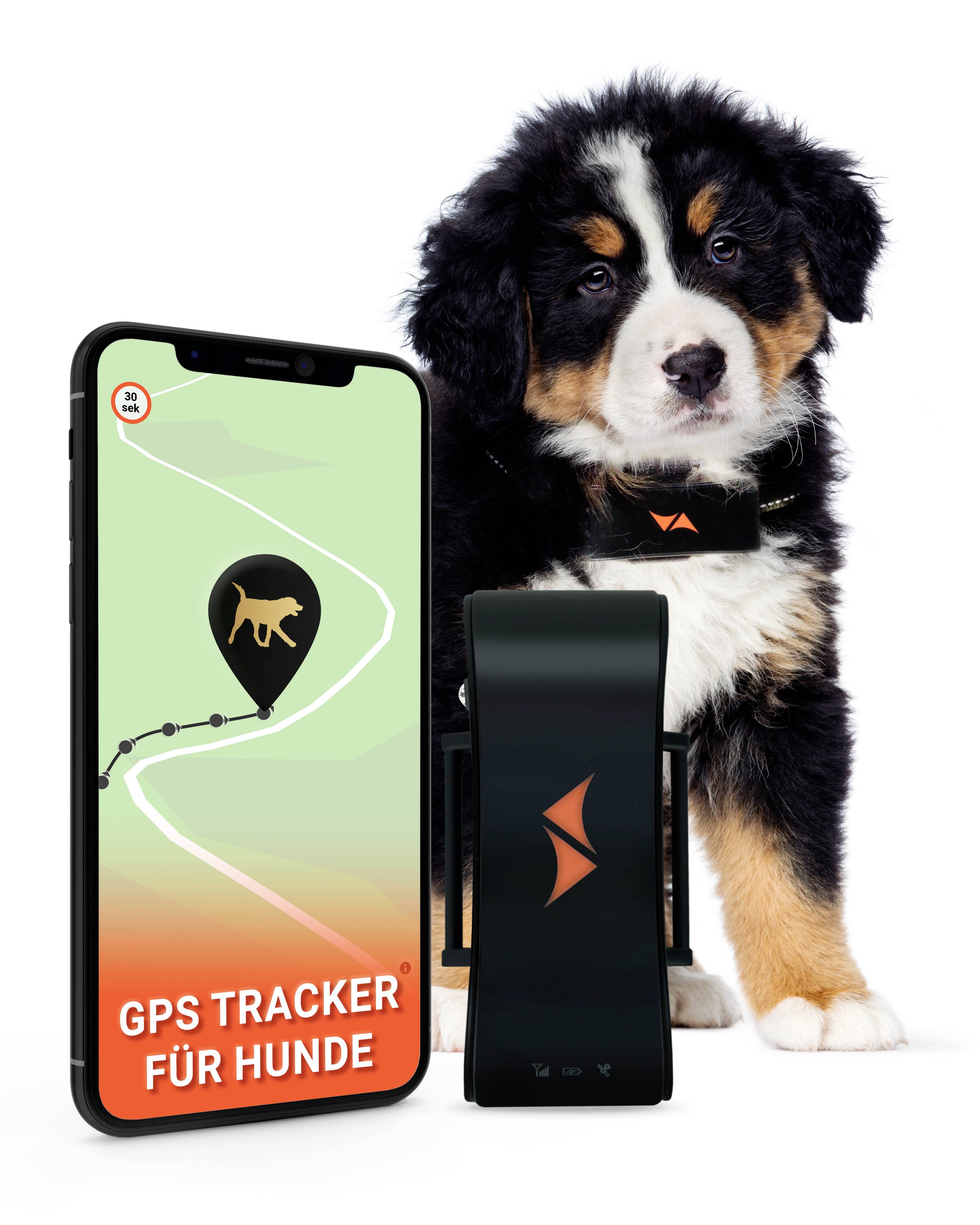 Buy PAJ GPS PET Finder 4G GSM tracker Pet tracker pc(s) Conrad