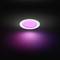 A round LED light emits purple light, built into a dark ceiling, creating a moody atmosphere.