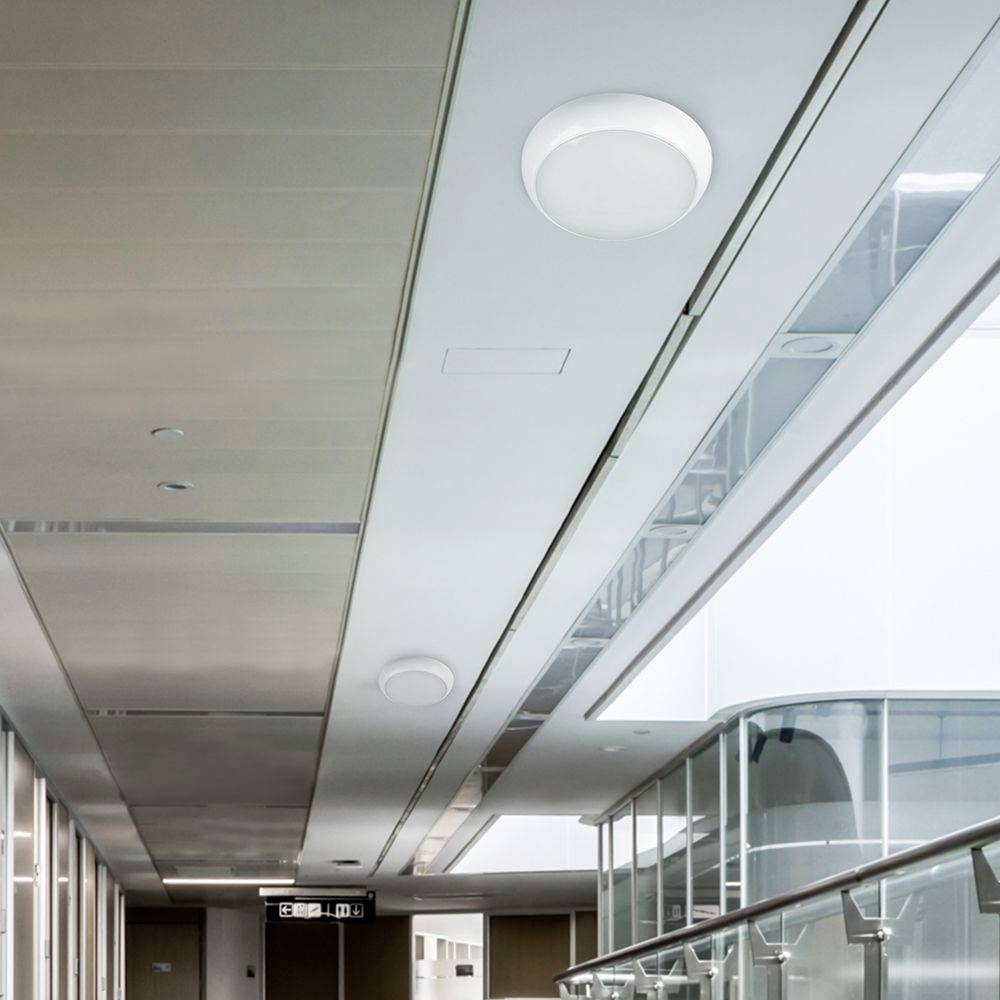 Bright office building, modern ceiling with built-in speakers and lighting, glass balustrade on the right, corridor leads to the left.