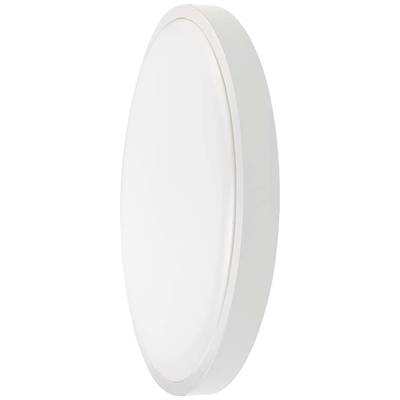 White, oval wall light with a slim border. Minimalist design, suitable for modern interiors.