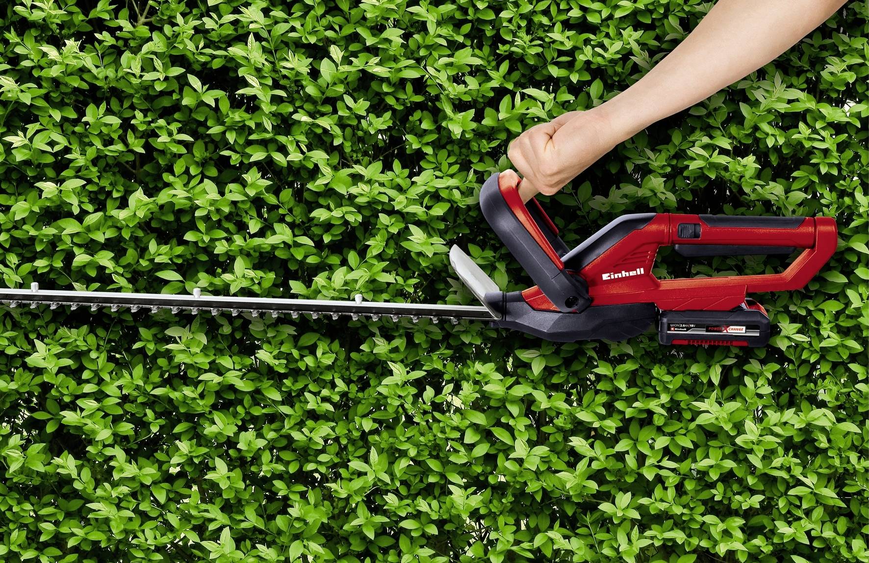 A hand is holding a red electric hedge trimmer and cutting a dense green hedge.