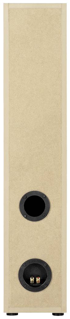 Back of a wooden loudspeaker with two connections and two round openings for sound reproduction.