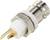 A metal BNC socket connector with plastic insulation and gold-plated contacts. Suitable for electrical connection.