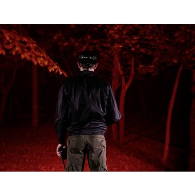 A person stands in a dark forest, surrounded by trees illuminated in red, holding an object in their hand.