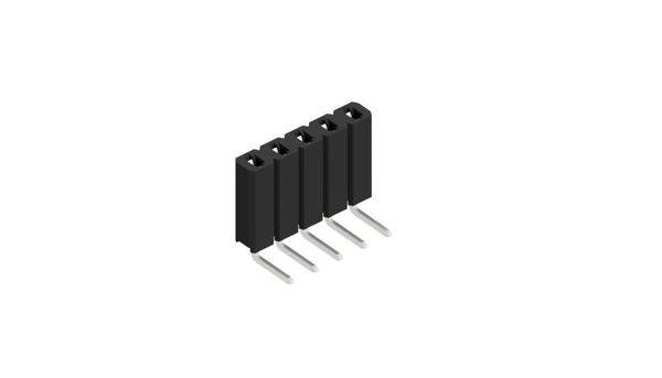Fischer Elektronik SIL socket (standard) No. of rows: 1 10026513 10 pc(s)-0