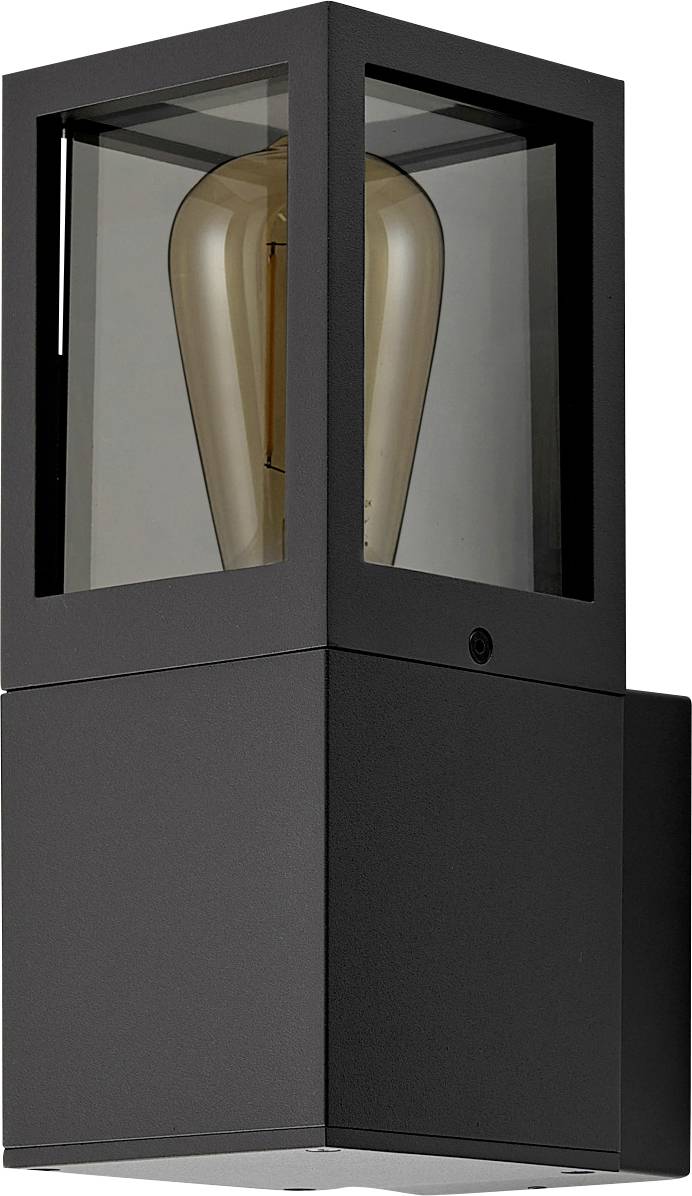 A black wall light with transparent glass encases a light bulb. Modern, minimalist design.
