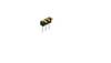 Fischer Elektronik Pin strip (standard) No. of rows: 1 10055970 10 pc(s)