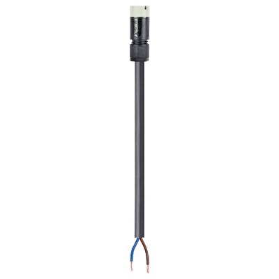 An electrical cable with a black protective sheath and two exposed copper wires, one brown and one blue insulated.
