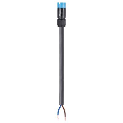 Two-core power cable plug with black sheathing, blue and brown wires exposed at the end.