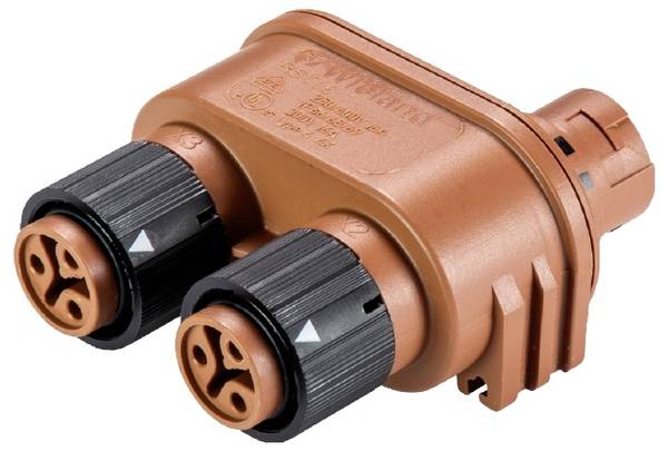 Wieland Electric 46.030.1250.4  Distributor