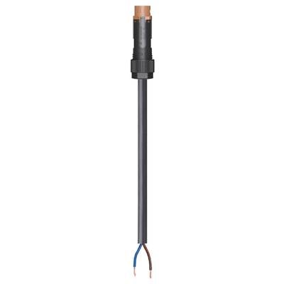 Electrical cable with black insulation, copper cores at the top, and two exposed wires below: one blue, one brown.