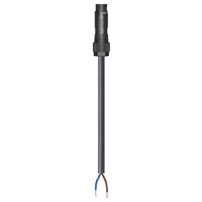 Black cable with two protruding coloured wires: blue and brown, connected to a black plug.