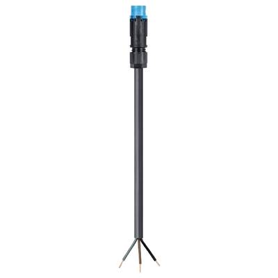 A black electrical cable with three stripped copper wires and a blue plug head on top.
