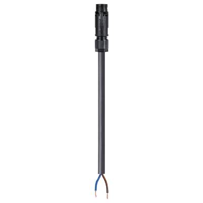 Black PVC pipe with black end pieces. At the lower end, two exposed copper wires, one blue, the other brown.