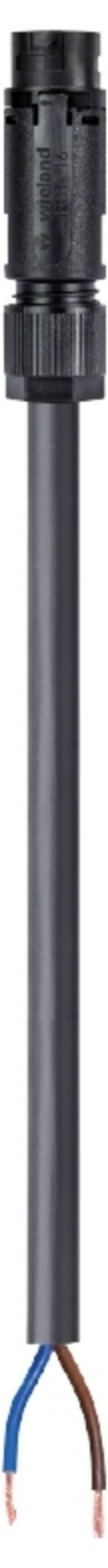 Wieland Electric 46.422.5004.1 Cable Black 5 m
