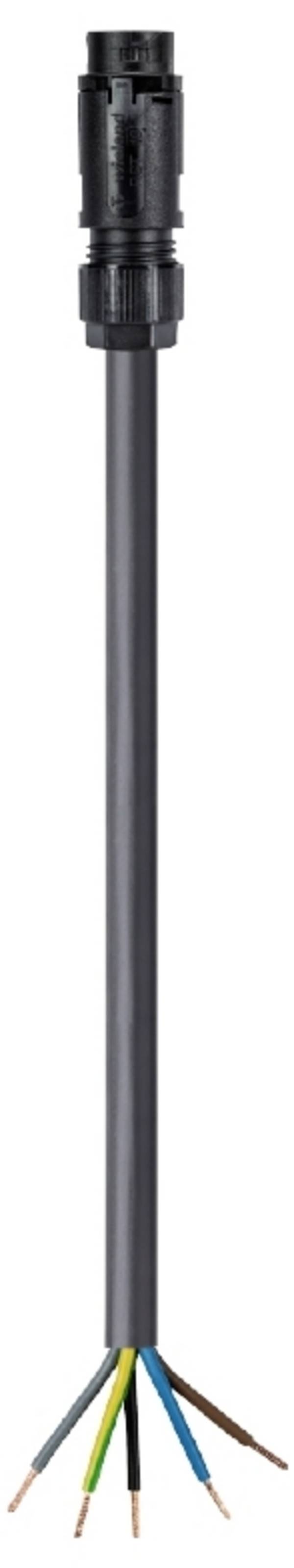 Wieland Electric 46.452.5064.1 Cable Black 5 m