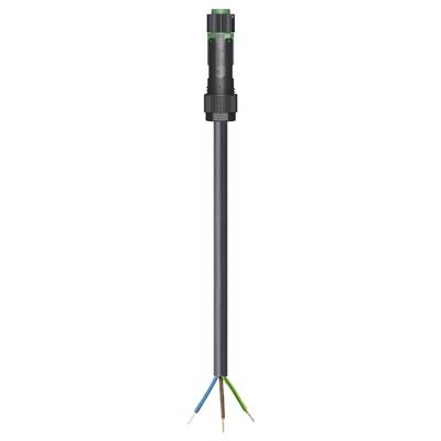 A plug with a black cable, which terminates in four coloured wire ends: blue, brown, green-yellow and grey.