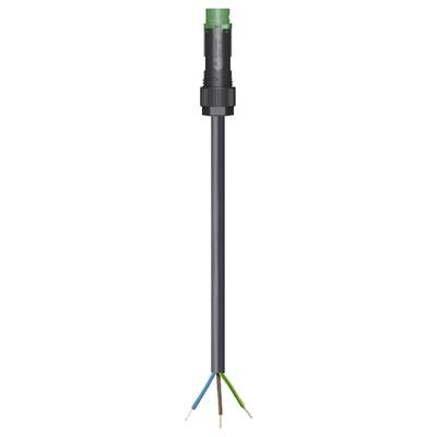 A black cable with a plug at the top and four stripped wire ends at the bottom in the colours brown, blue, green and yellow.