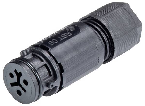 Wieland Electric 4L.031.3053.1  Connector