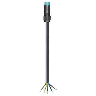 A black cable with six coloured wire ends: blue, green-yellow, white, grey, brown and black. At the top, a blue plug.