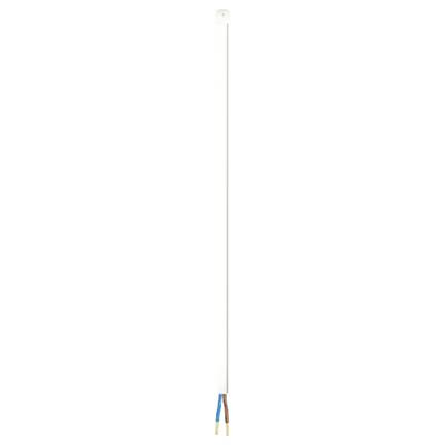 A long, narrow white walking stick with a blue and brown handle.