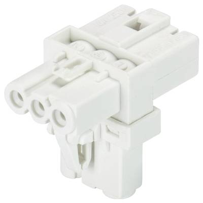 A white, three-pin plug with a rectangular shape, used for electrical connections or wiring.