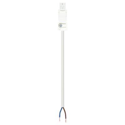 A cut white electrical wire with two exposed ends: one blue and one brown.