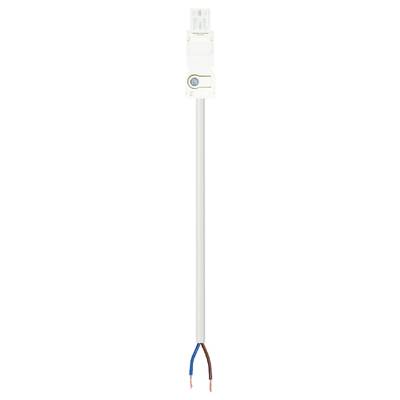 A white cable with two exposed wires: one blue and one brown. At the top is a flat plug head.