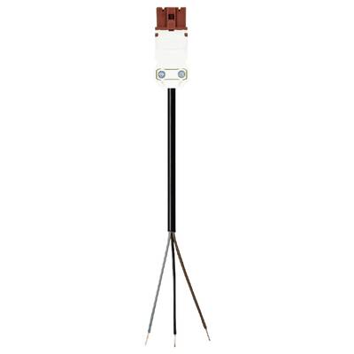A three-pin electrical plug with cables in black, blue, and brown. Enables safe electrical connections.