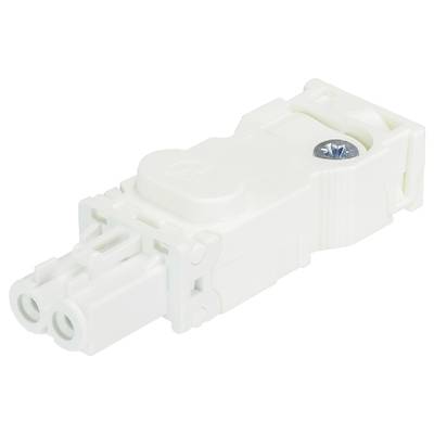 A white, rectangular electrical plug with two terminals and a screw on the top surface.
