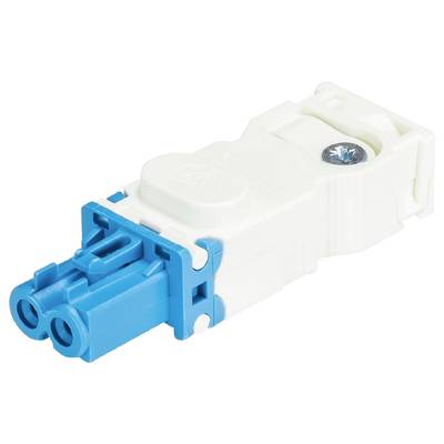 A white and blue electrical connector with two sockets, potentially for lighting or communication devices, made of plastic.