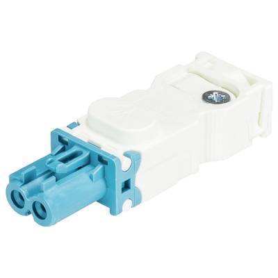 Wieland Electric 91.921.3453.0 Connector