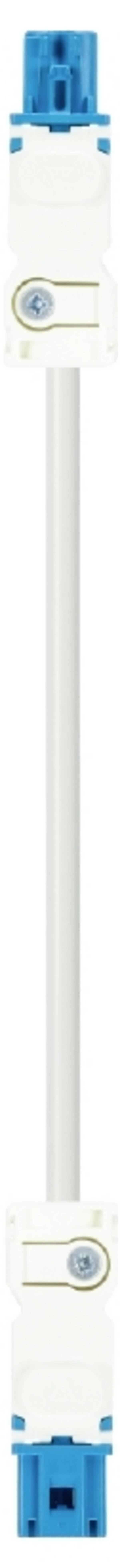 Wieland Electric 91.222.2000.6  Connection   White 2 m