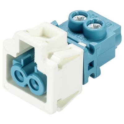 A blue and white electrical connector with double socket openings, suitable for cable connections in technical applications.