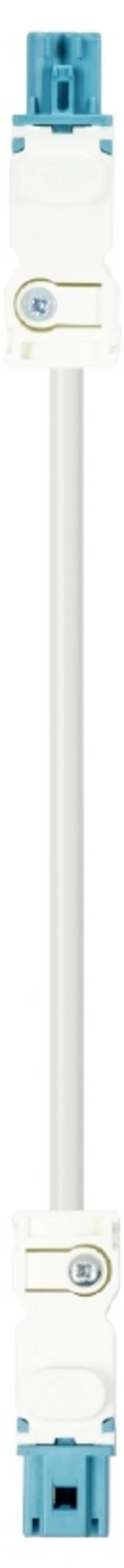 Wieland Electric 91.222.5060.9  Connection   White 5 m