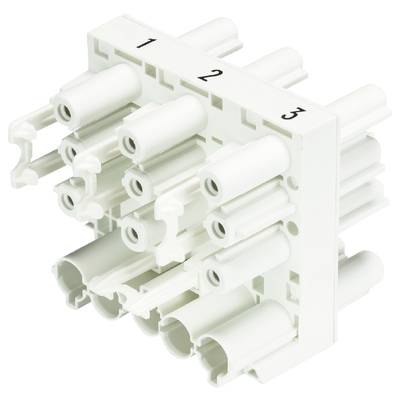 A white, numbered, three-row connector with round openings, lying on a white surface.