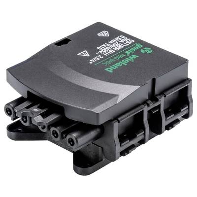 Wieland Electric 92.051.5453.1 Ribbon cable adapter