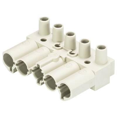 White electrical socket with five round, vertical insertion openings and three rectangular connections underneath.