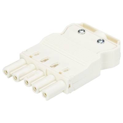 A white, five-pin electrical plug with two visible screws on the top surface and five round terminals underneath.