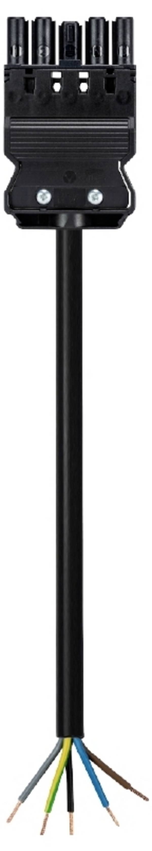 Wieland Electric 92.357.1063.1  Cable  Black 1 m