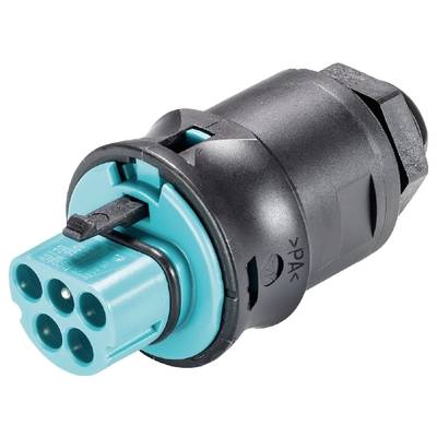 Black and blue multi-terminal electrical connector, suitable for industrial wiring applications.