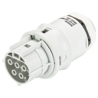 White, cylindrical electrical connector with seven metal pins on the side.