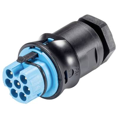 'Cable plug, black-blue, with seven round connectors.'
