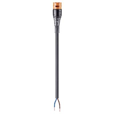 A black electrical cable with an orange outer sheath at one end and two exposed conductors in blue and brown at the other end.
